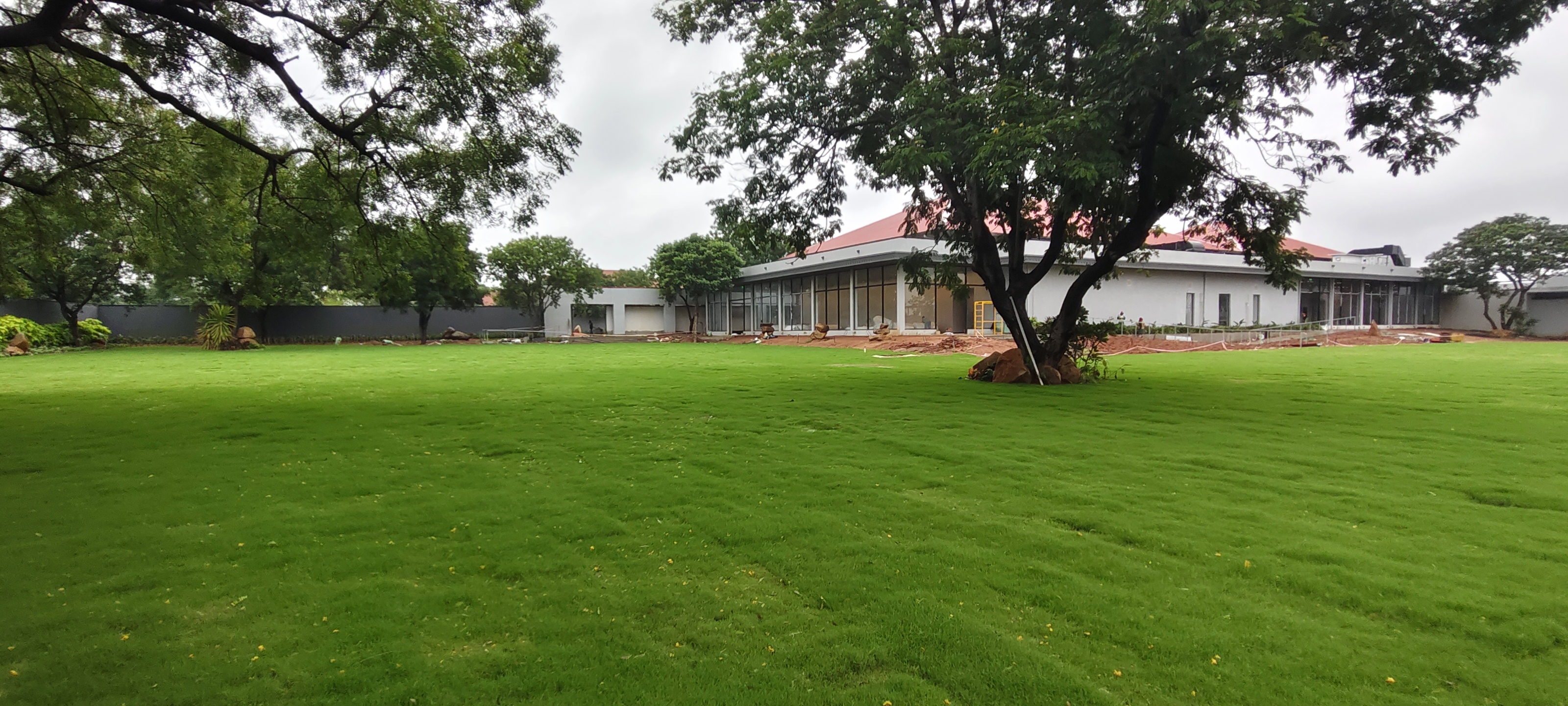 Estate lawn