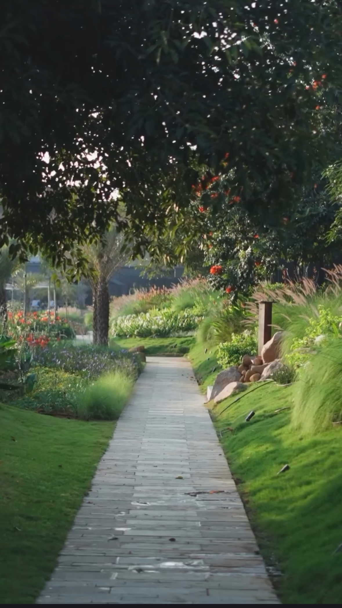 Landscape walkway