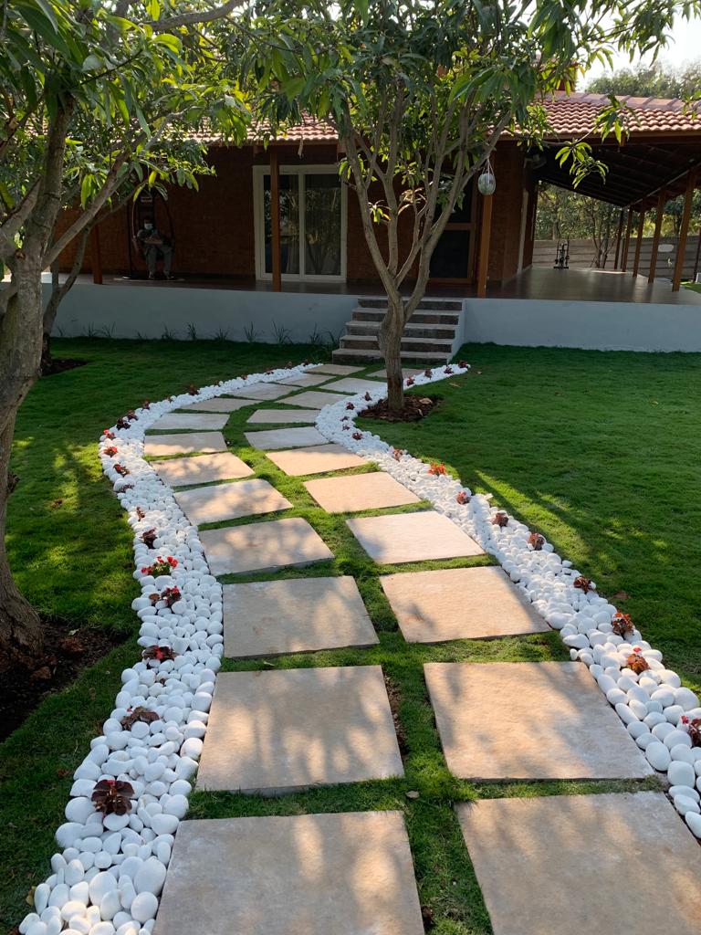 Executed lawn