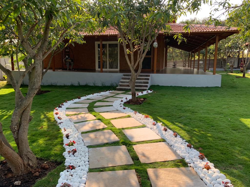 Executed plantation