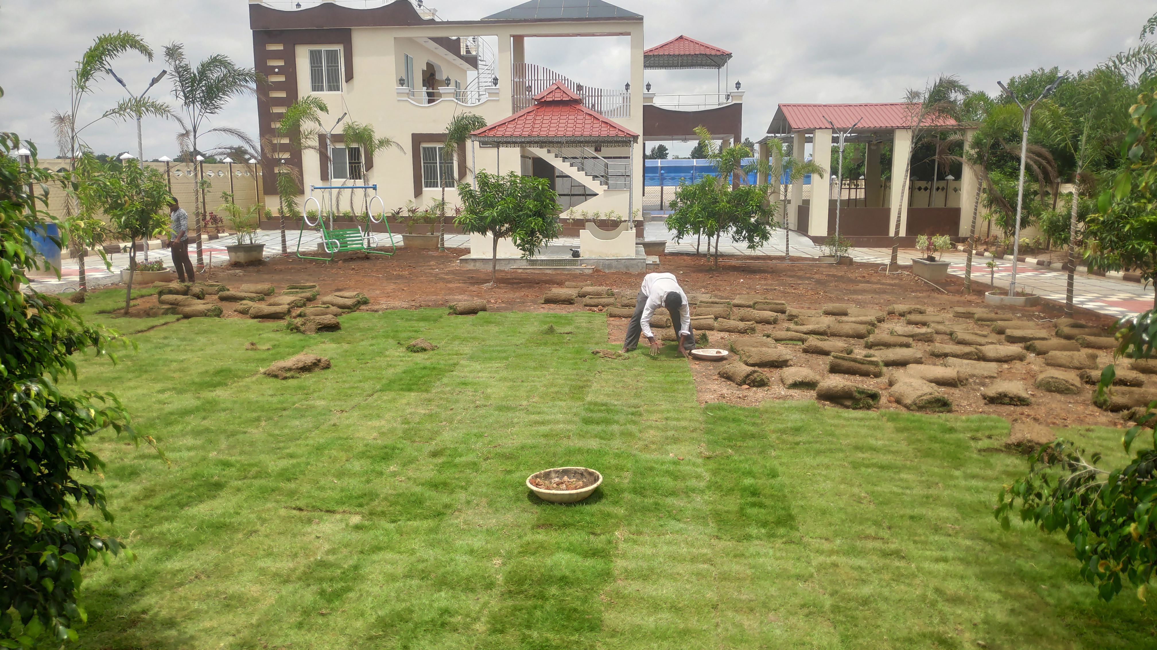 Lawn Laying