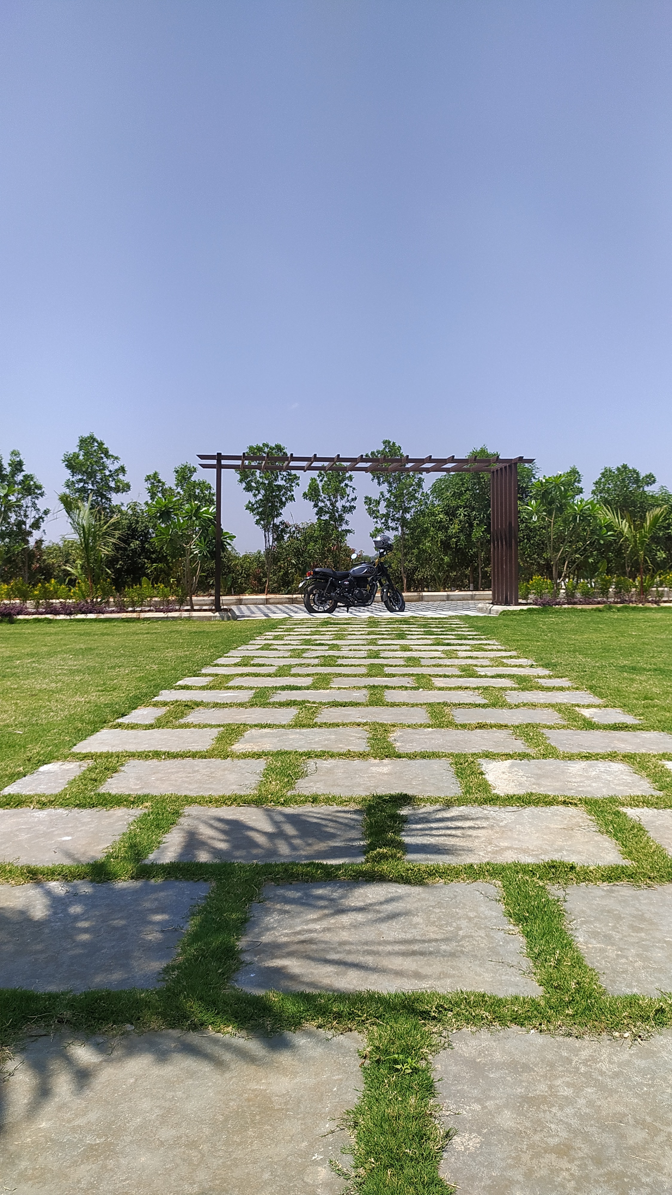 Lawn Laying