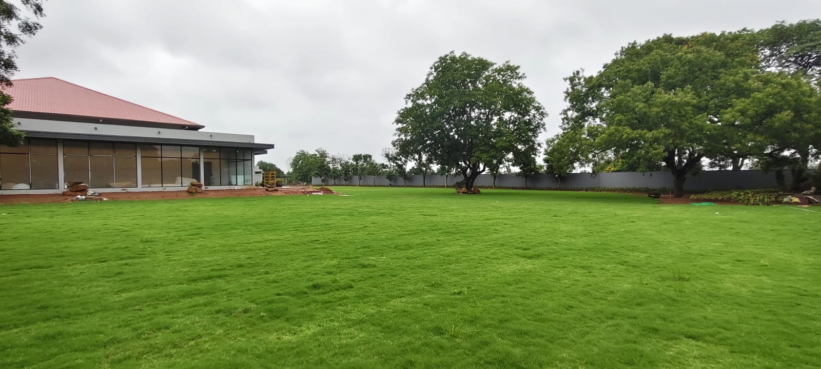 Lawn Laying